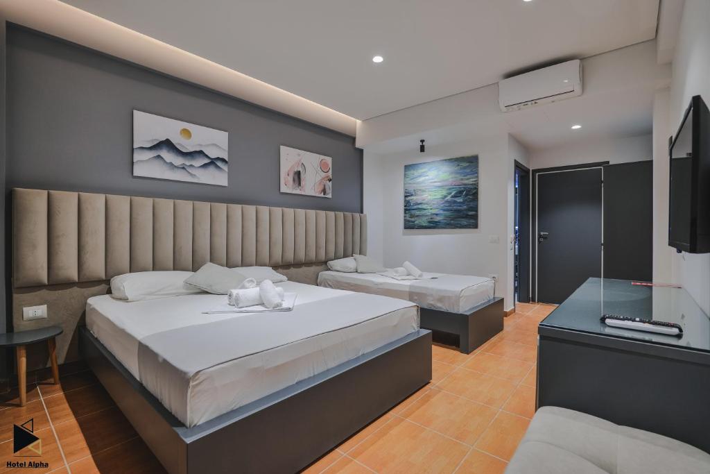 Spacious room at Hotel Alpha